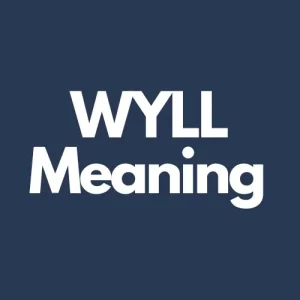 wyll meaning in text